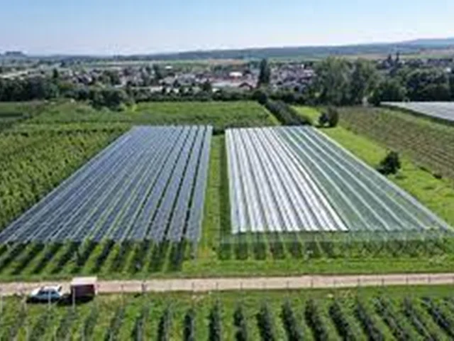 افزایش استفاده از  فناوری پنل های خورشیدی در صنعت کشاورزی در سطح جهان